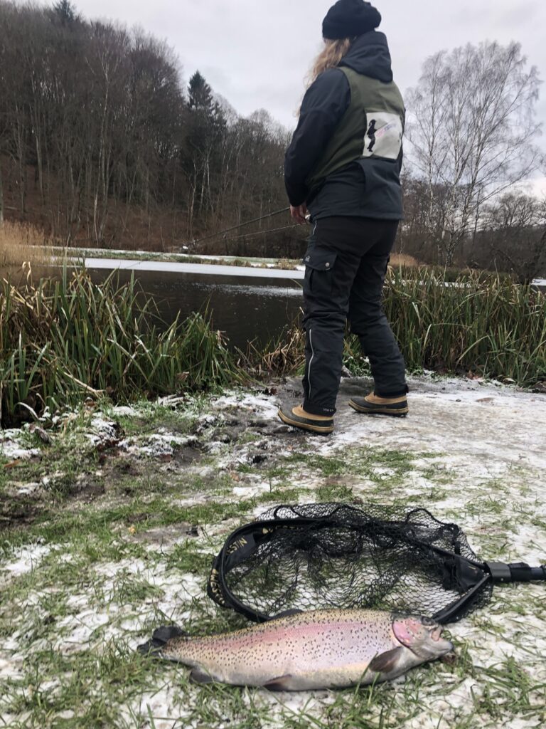 Pinds mølle put and take fiskeri i kulden regnbueørred