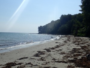 Moesgård strand, fiskeri, havørred, fladfisk, girlfishing.dk