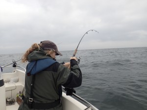 fiskeri, storebælt, girlfishing.dk fladfisk