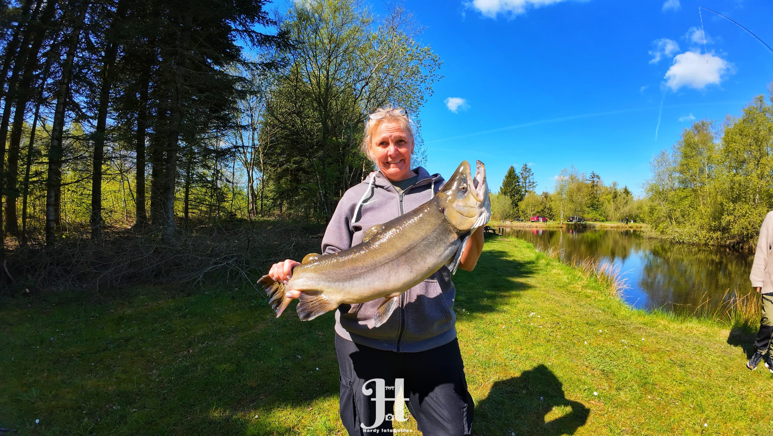 Dullefiskeren hardy foto&video