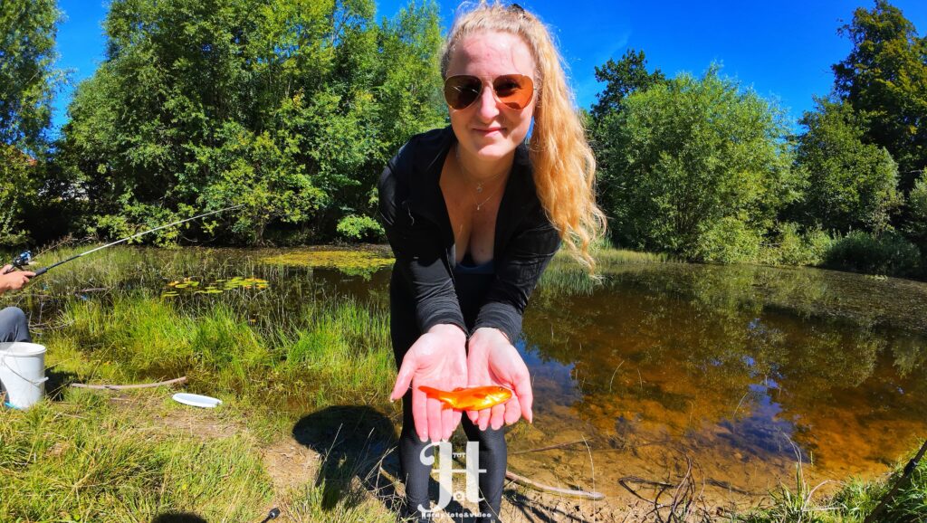 Guldfisk girlfishing.dk