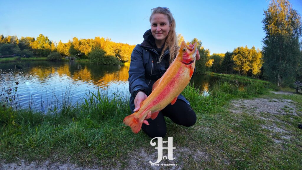Lystfisker oasen girlfishing.dk hardy foto&video aftenfisketur ved lystfisker oasen