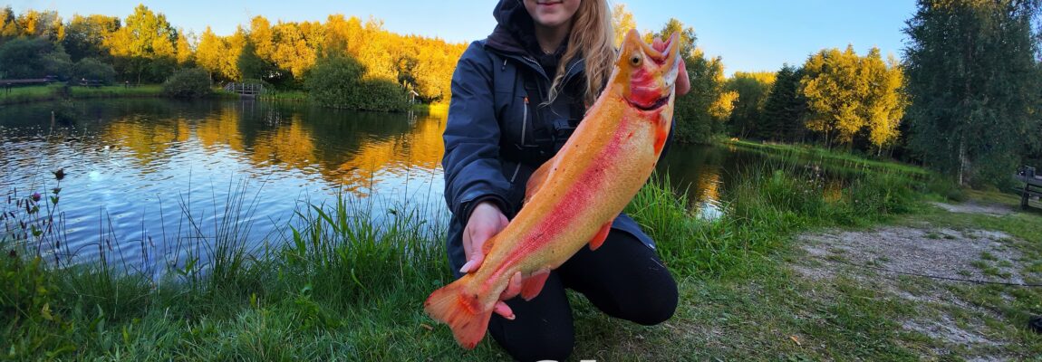 Aftenfisketur ved Lystfisker Oasen: 21.08.2025