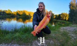 Lystfisker oasen girlfishing.dk hardy foto&video aftenfisketur ved lystfisker oasen
