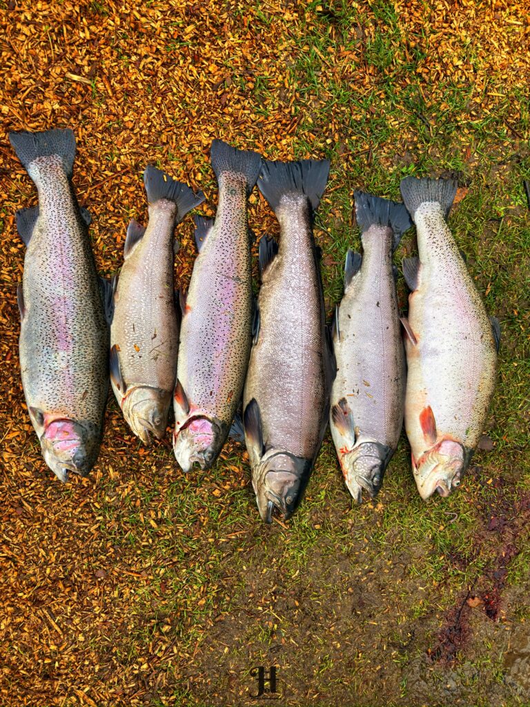 Sikke en weekend ved lystfiskeroasen 